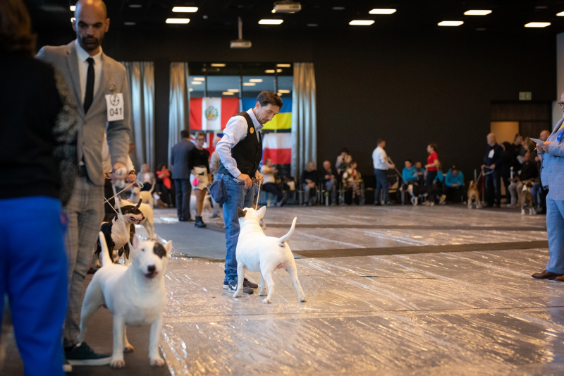 Poisson Ivy Cookie Dough