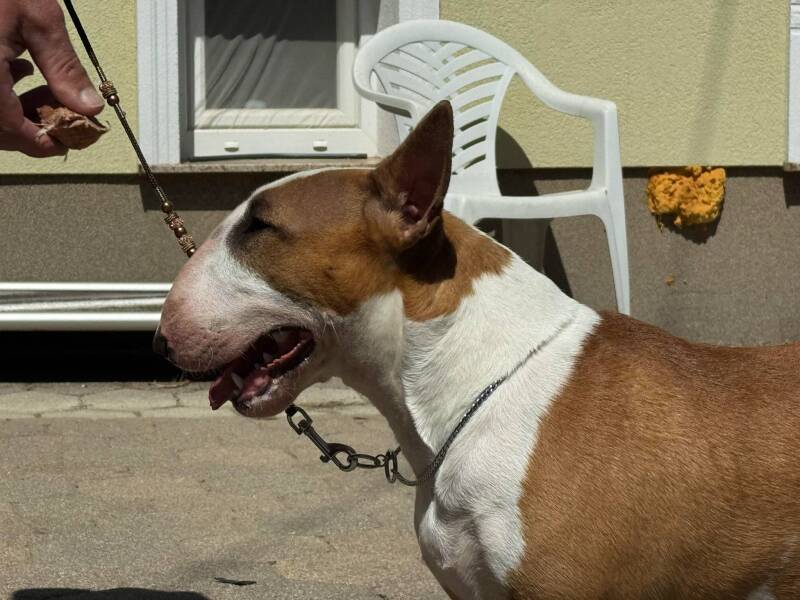 Poisson Ivy It Finnaly Happen