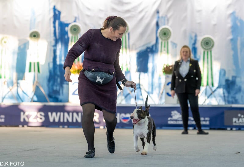 POISSON IVY WHOOPSIE DAISY