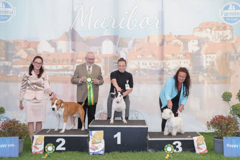 Poisson Ivy Illusionist&#039;s Charm-14-standard-feb88z.jpg