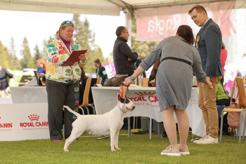 Poisson Ivy Illusionist&#039;s Charm-14-standard-feb88z.jpg