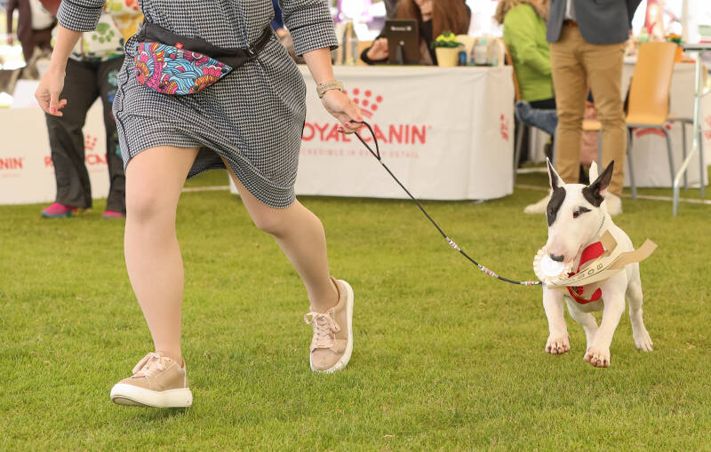 Poisson Ivy Illusionist&#039;s Charm-14-standard-feb88z.jpg