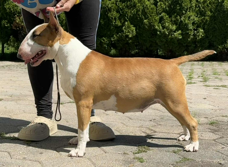 Poisson Ivy It Finnaly Happen