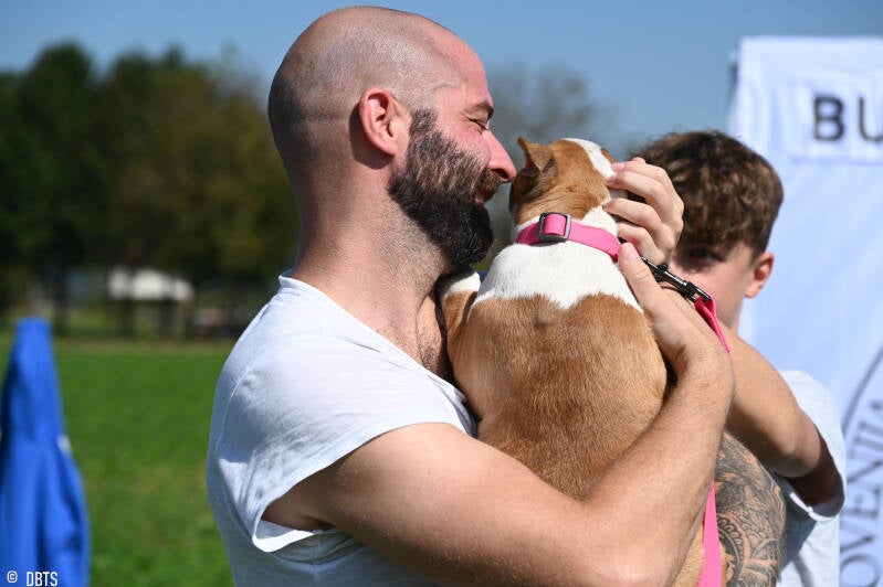 bull terrier slovenija