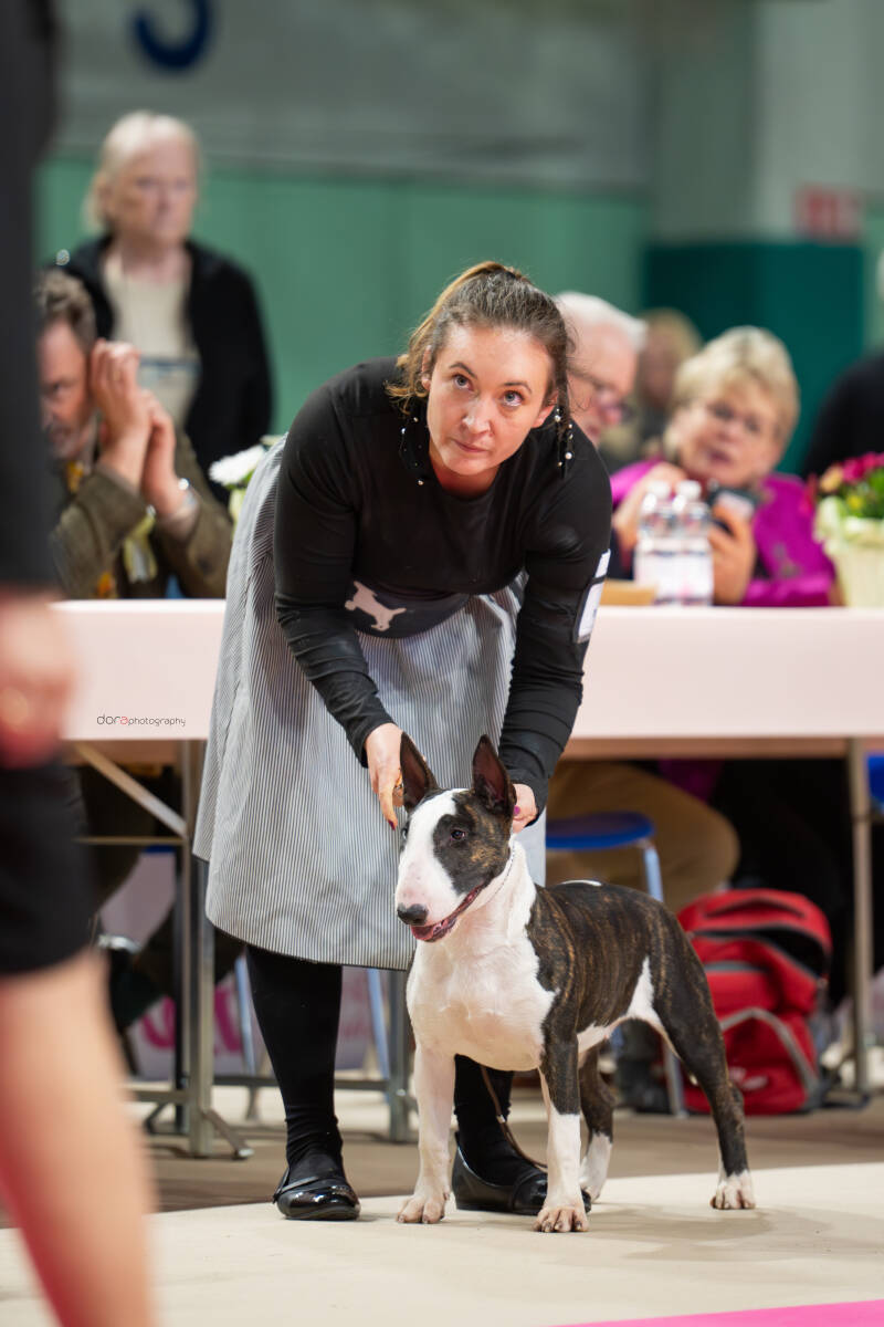 POISSON IVY WHOOPSIE DAISY