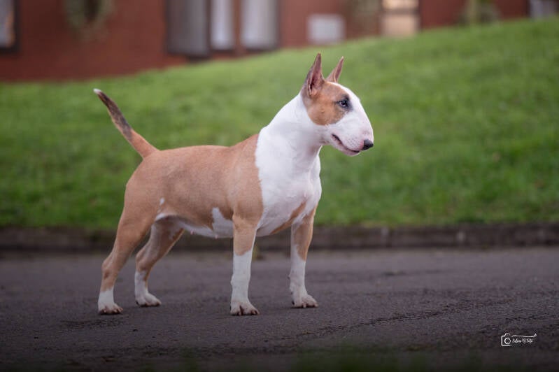 Poisson Ivy It Finnaly Happen