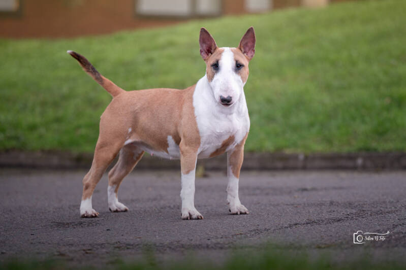 Poisson Ivy It Finnaly Happen