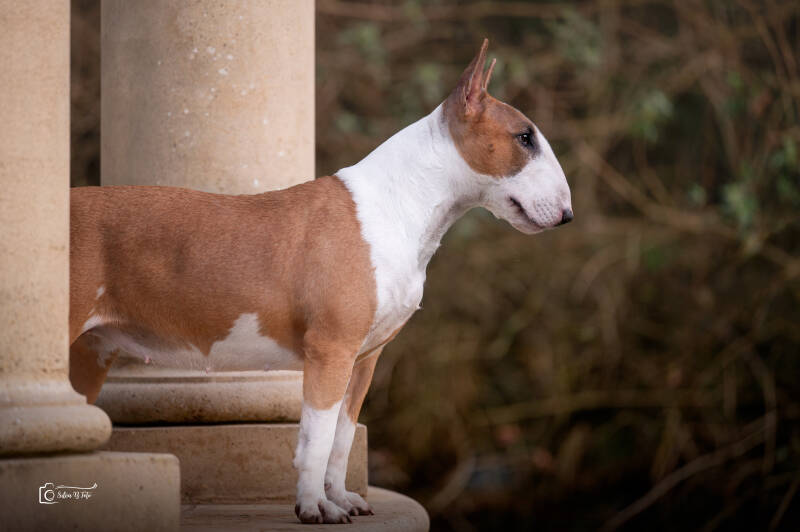 Poisson Ivy It Finnaly Happen