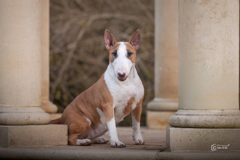 Poisson Ivy It Finnaly Happen