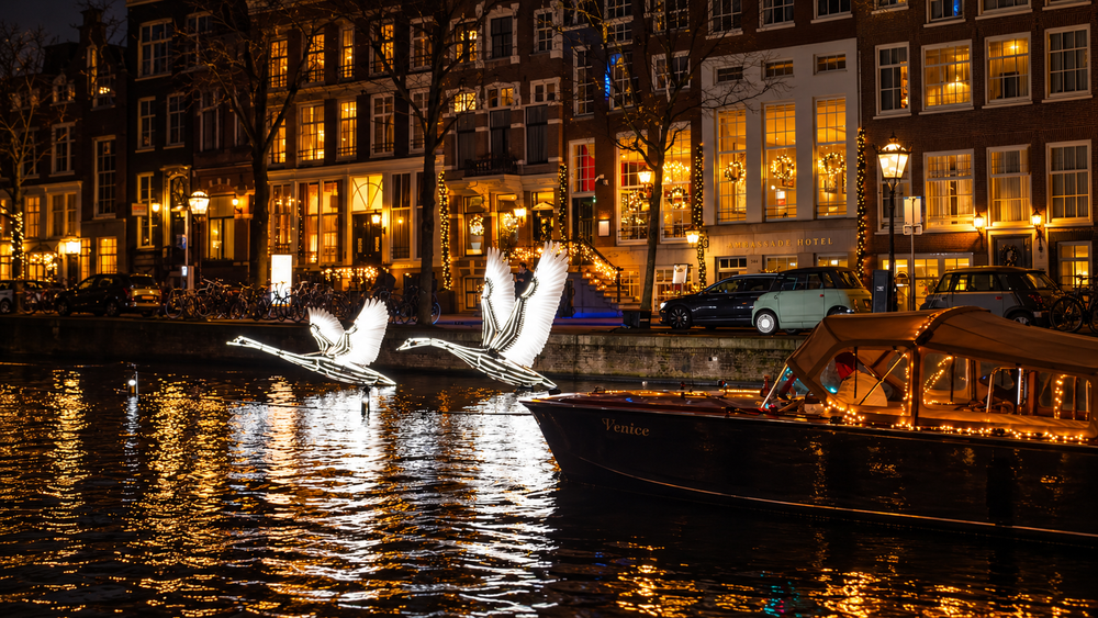 Venice gliding past the illuminated swans of the Amsterdam Light Festival