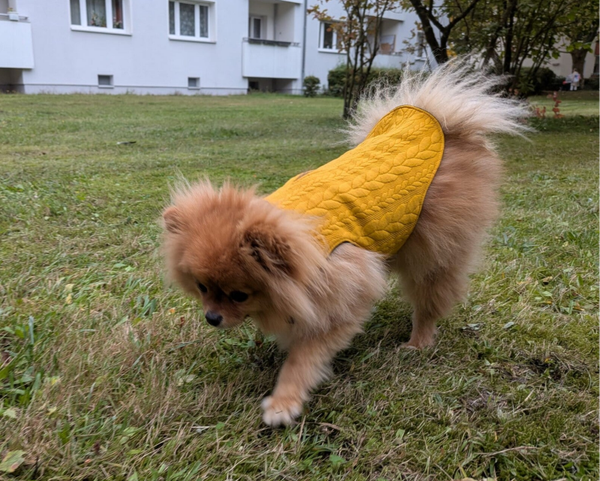 Hundemantel aus Softshell Gr. XS