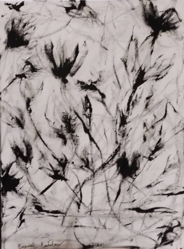 Loto in bianco e nero