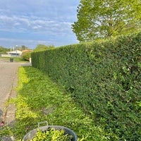 thumbnail_img_1898-standard.jpg