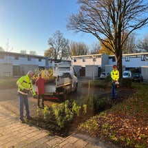 img_0062.jpeg