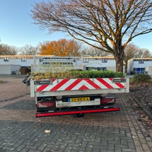 img_0056.jpeg