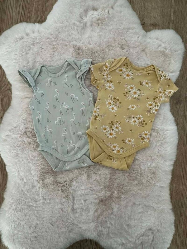 2 body's l C&A l maat 68