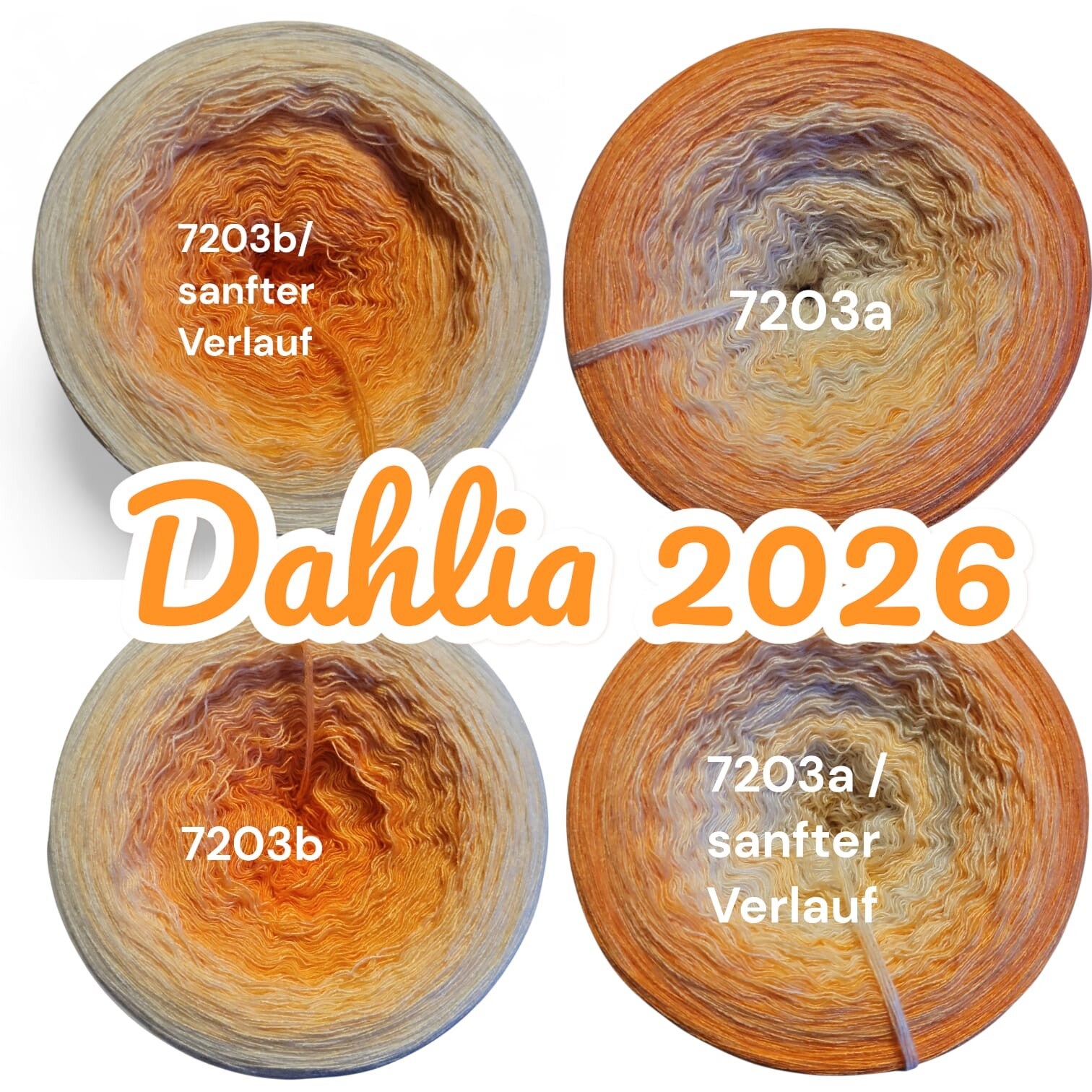 Dahlia 2026 - 7203 - Bobbel mit Farbverlauf - 3, 4 oder 5 Fäden, auch als Pullover- oder Decken Set