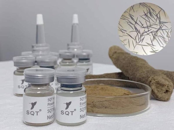 Formation BIO PEELING aux micro aiguilles d'algues - Peeling NATUREL