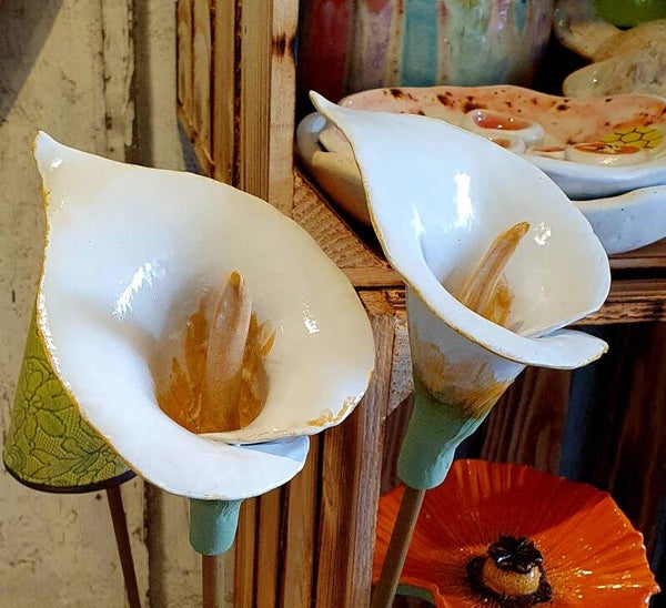 Witte aronskelk op bamboe stok
