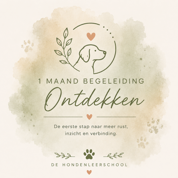Ontdekken - 1 maand begeleiding