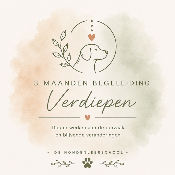 Verdiepen - 3 maanden begeleiding