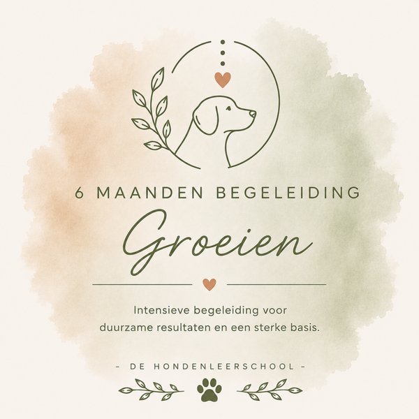 Groei - 6 maanden begeleiding