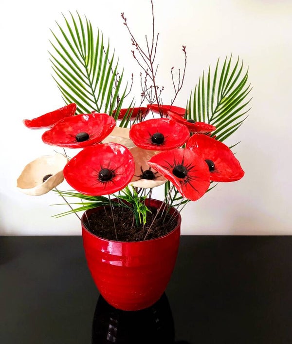 Coquelicots