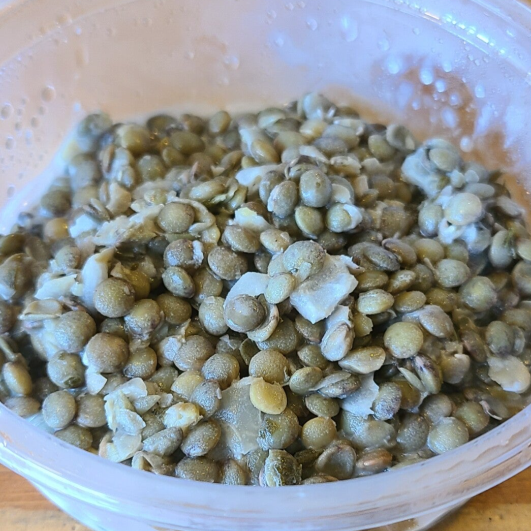 Salade de lentilles aux oignons