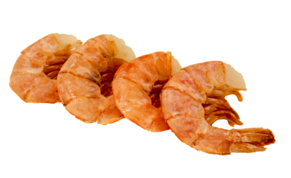 Caviar de tomates, crevettes persillade