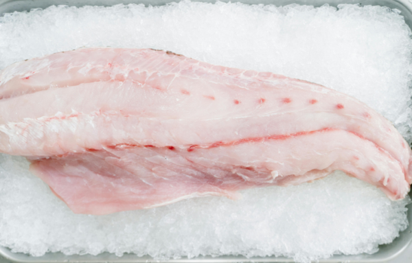 Filet de poisson selon marché