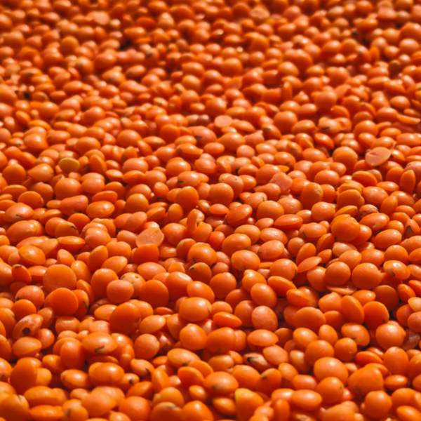 Salade de lentilles corail aux légumes et à la moutarde