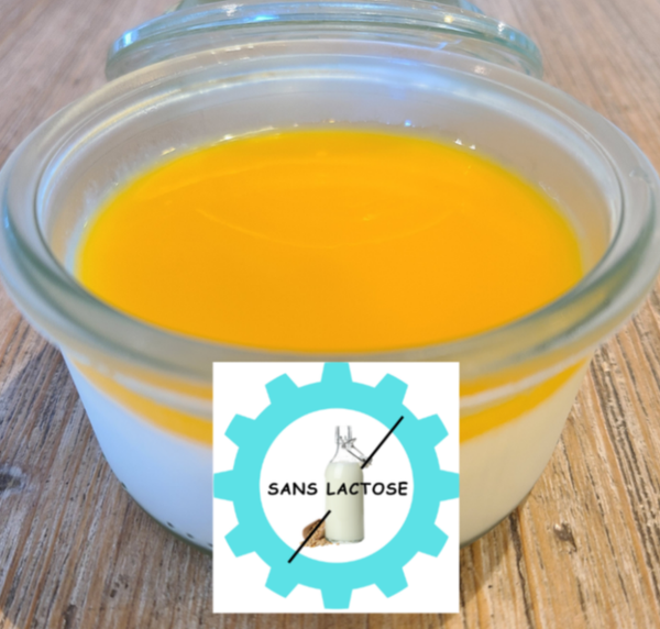 Panacotta au lait d'amande, coulis de fruits