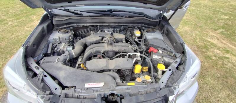 Before the Raybourn Difference