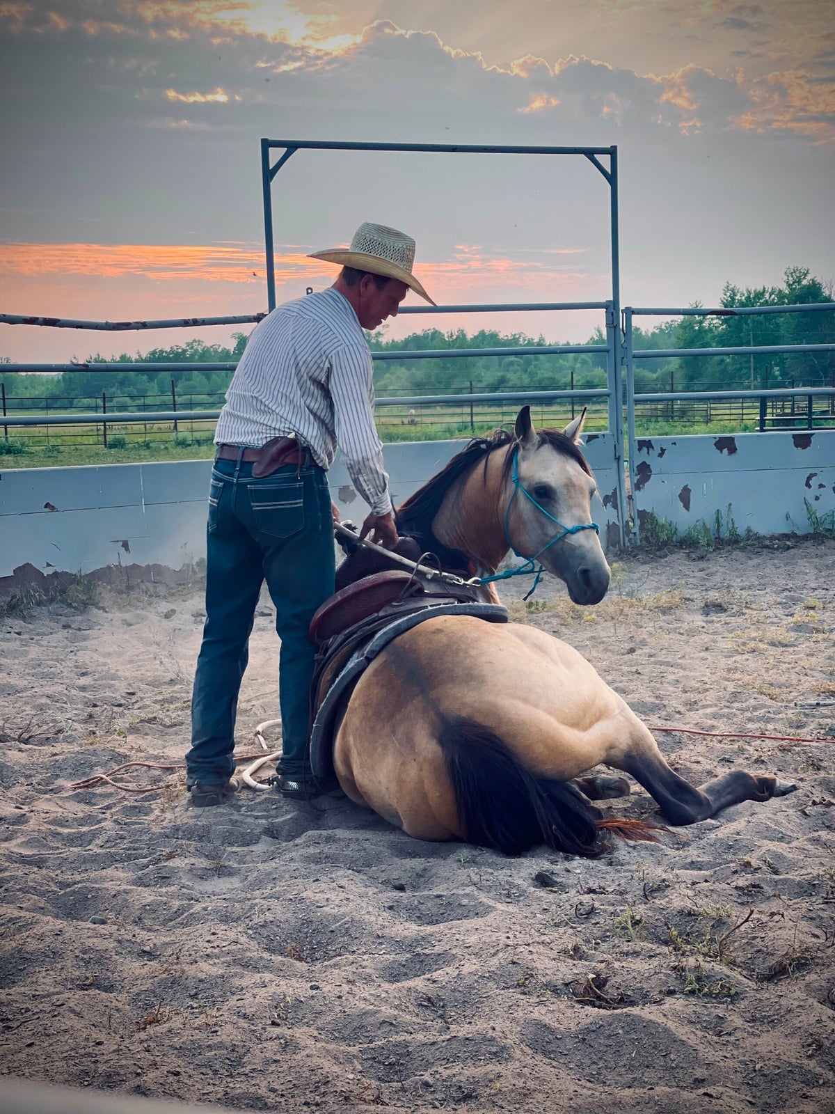 About | Big Rock Ranch