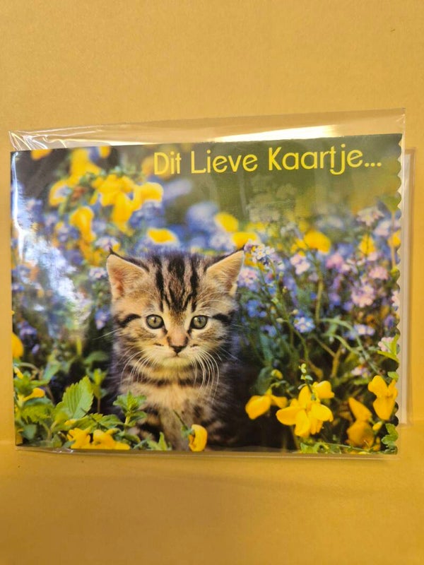 WENSKAARTEN : OVERIGE THEMA'S - Collectie BELGIUM Greetings