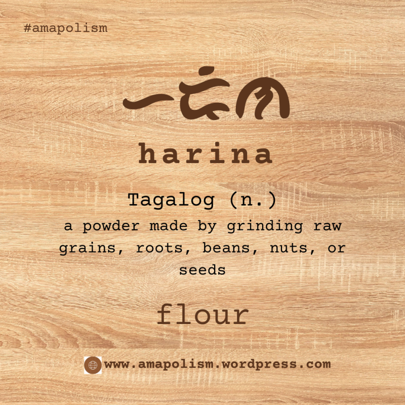 Flour is Harina. amapolism Katutubo 101 pre-colonial baybayin cards Filipino English vocabulary by Amrey Boquiren.