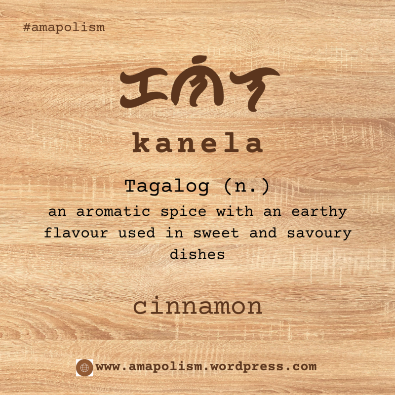 Cinnamon is Kanela. amapolism Katutubo 101 pre-colonial baybayin cards Filipino English vocabulary by Amrey Boquiren.