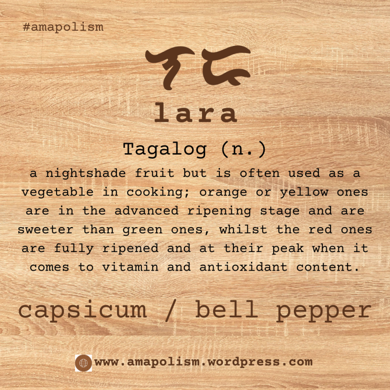 capsicum or bell pepper is lara in Tagalog. amapolism Katutubo 101 pre-colonial baybayin cards Filipino English vocabulary by Amrey Boquiren.
