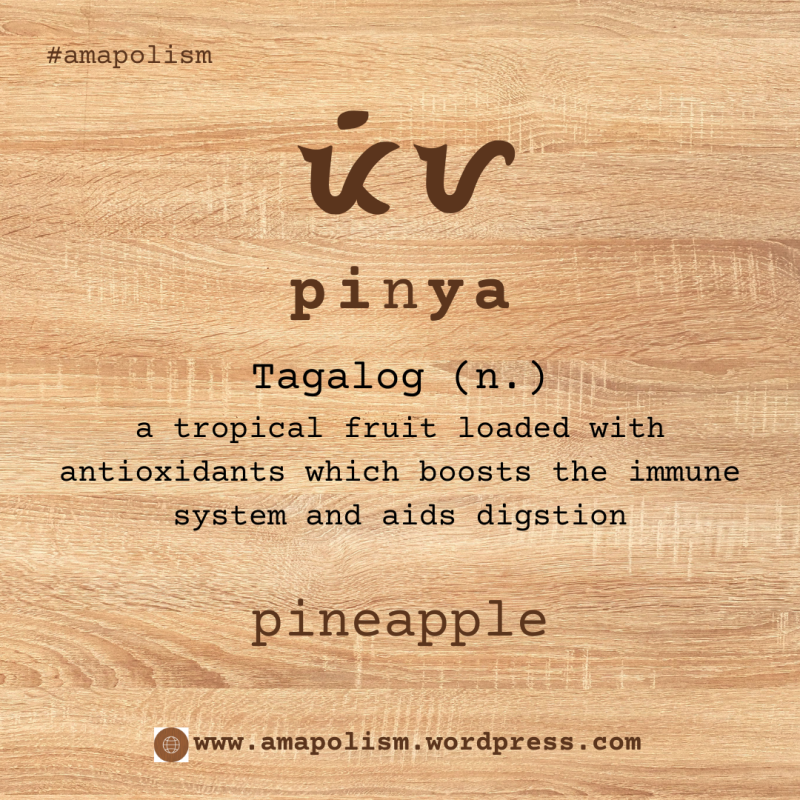 Pineapple is pinya. amapolism Katutubo 101 pre-colonial baybayin cards Filipino English vocabulary by Amrey Boquiren.
