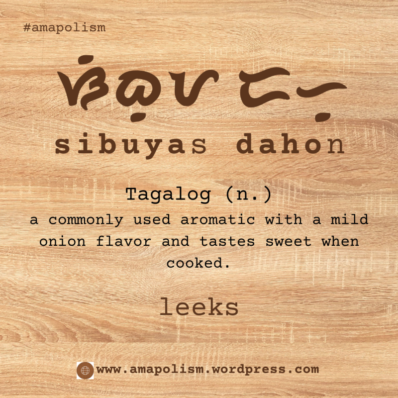 leeks is sibuyas dahon in Tagalog. amapolism Katutubo 101 pre-colonial baybayin cards Filipino English vocabulary by Amrey Boquiren.