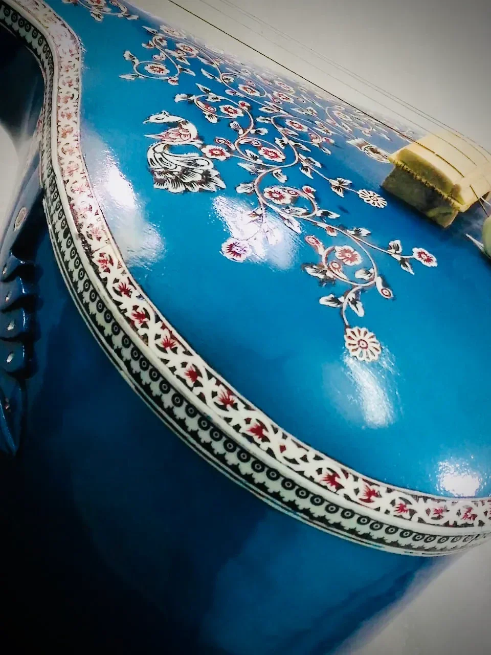 FEMALE  TANPURA " Persian Blue " special