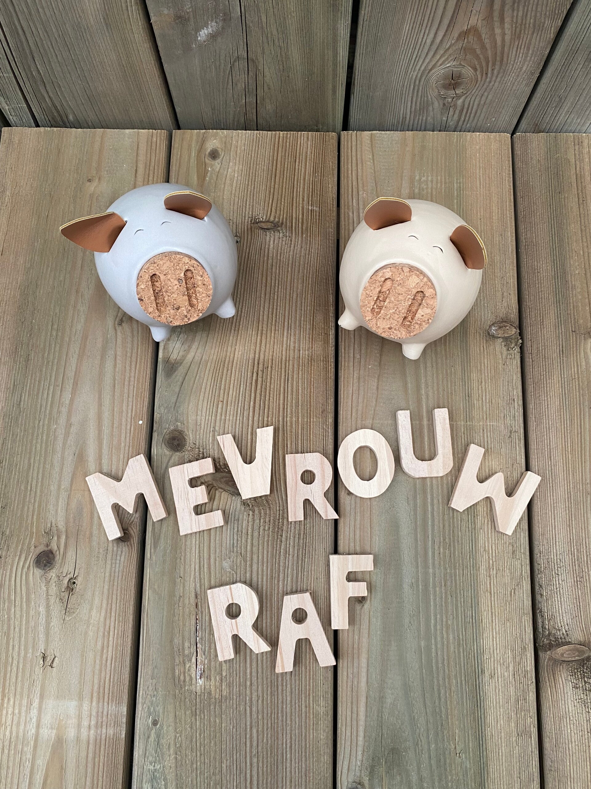 Schattig spaarvarken