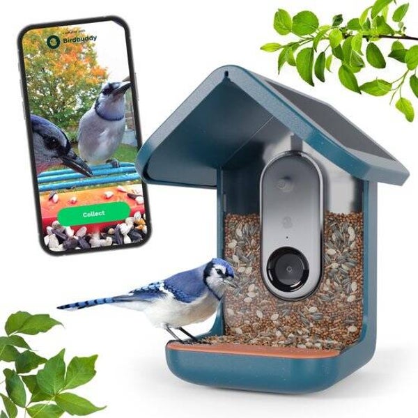 Bird Buddy - Slimme vogelvoeder met zonnepanelen - Blauw