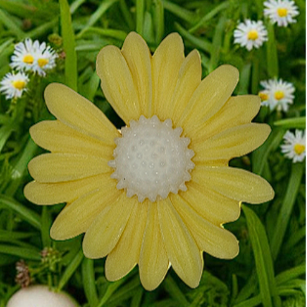 Fondant parfumé "Lavande"