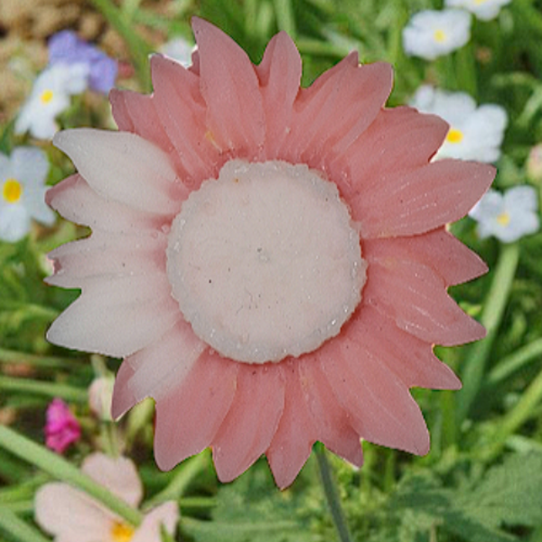 Fondant parfumé "Douceur de chêne"