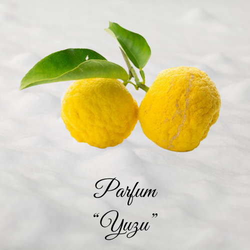 Yuzu