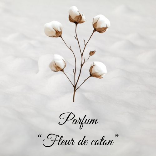 Fondant parfumé fleur de coton