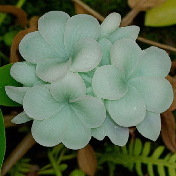 Fondant parfumé "Musc"