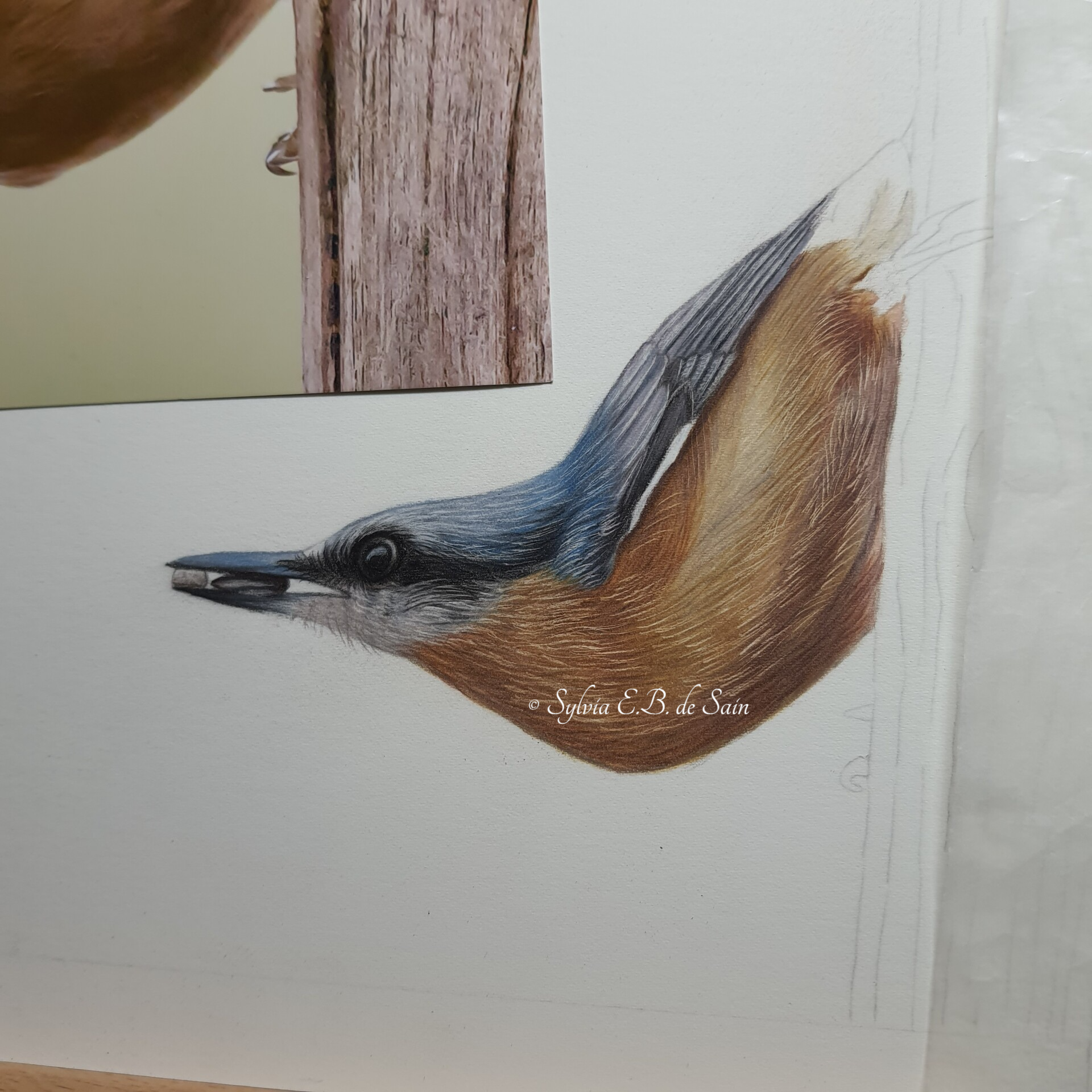 Tekenen, werk in uitvoering