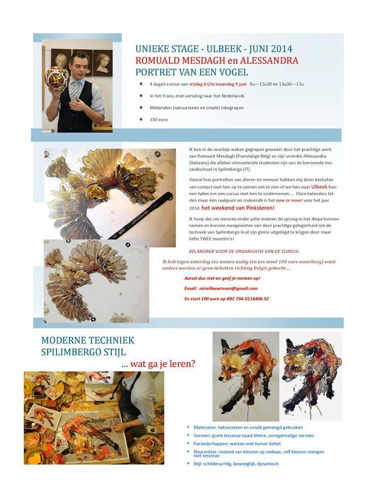 Workshop Mozaïek Portret van een vogel in Ulbeek/Wellen (België)